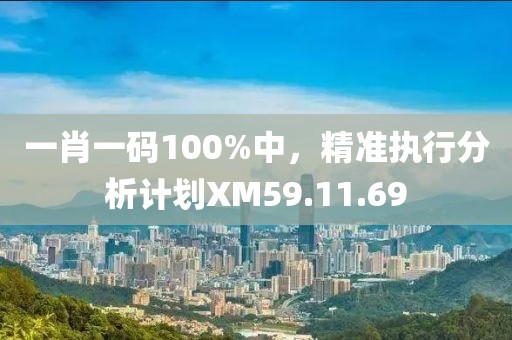 一肖一码100%中，精准执行分析计划XM59.11.69