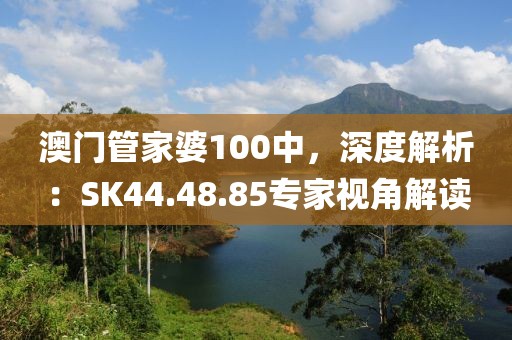 澳门管家婆100中，深度解析：SK44.48.85专家视角解读