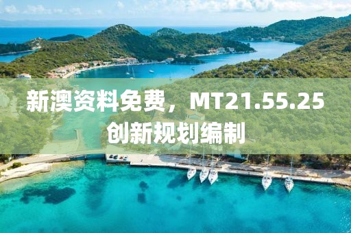 新澳资料免费，MT21.55.25创新规划编制