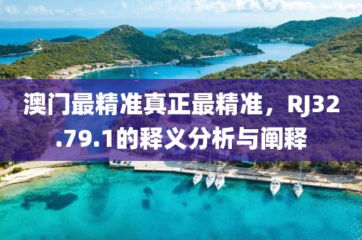 澳门最精准真正最精准，RJ32.79.1的释义分析与阐释