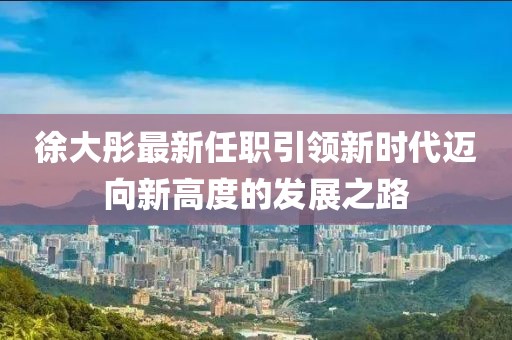 徐大彤最新任职引领新时代迈向新高度的发展之路