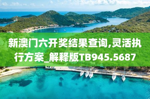 新澳门六开奖结果查询,灵活执行方案_解释版TB945.5687