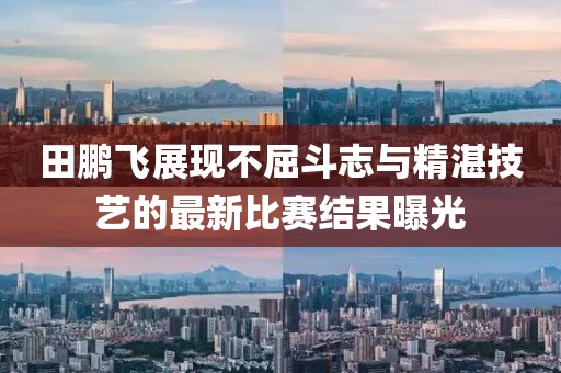 田鹏飞展现不屈斗志与精湛技艺的最新比赛结果曝光