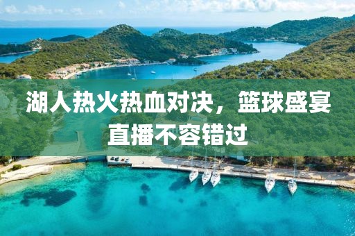 湖人热火热血对决，篮球盛宴直播不容错过