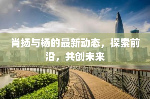 肖扬与杨的最新动态，探索前沿，共创未来