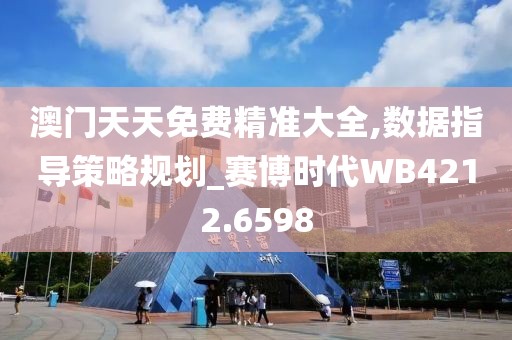 澳门天天免费精准大全,数据指导策略规划_赛博时代WB4212.6598