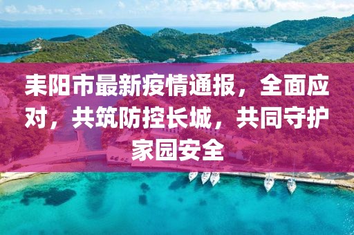 耒阳市最新疫情通报，全面应对，共筑防控长城，共同守护家园安全