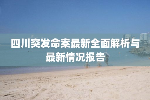 四川突发命案最新全面解析与最新情况报告