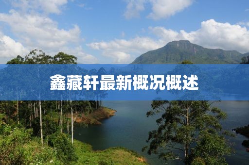 鑫藏轩最新概况概述