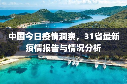 中国今日疫情洞察，31省最新疫情报告与情况分析