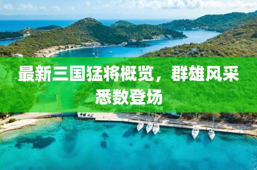 最新三国猛将概览，群雄风采悉数登场
