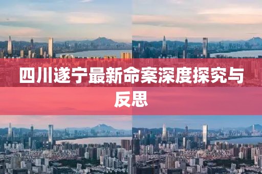 四川遂宁最新命案深度探究与反思