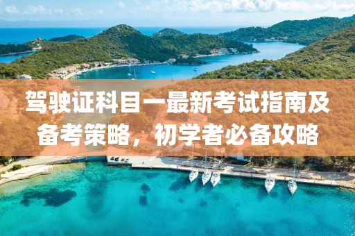 驾驶证科目一最新考试指南及备考策略，初学者必备攻略