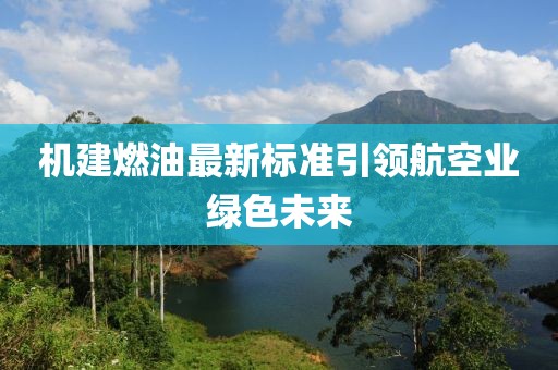 机建燃油最新标准引领航空业绿色未来