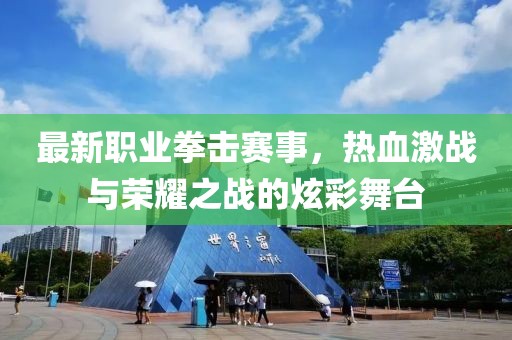 最新职业拳击赛事，热血激战与荣耀之战的炫彩舞台