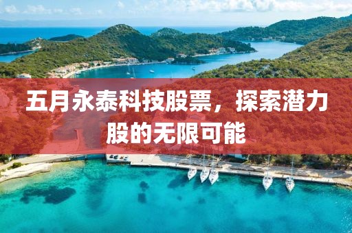 五月永泰科技股票，探索潜力股的无限可能