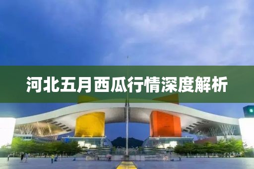 河北五月西瓜行情深度解析