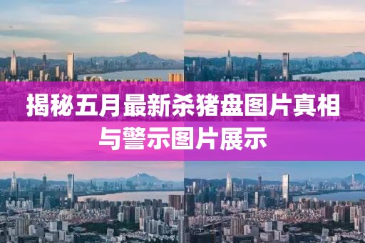 揭秘五月最新杀猪盘图片真相与警示图片展示