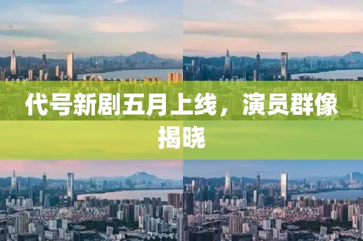 代号新剧五月上线，演员群像揭晓