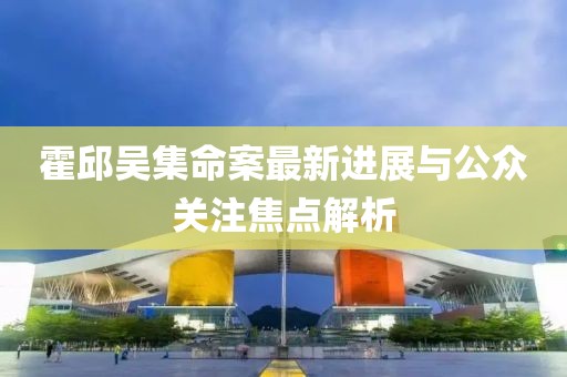 霍邱吴集命案最新进展与公众关注焦点解析