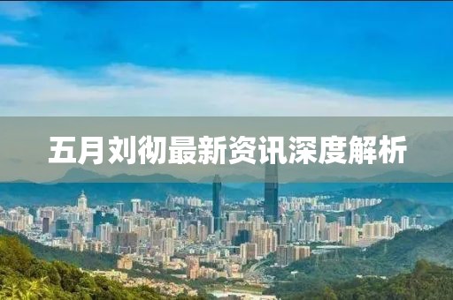 五月刘彻最新资讯深度解析