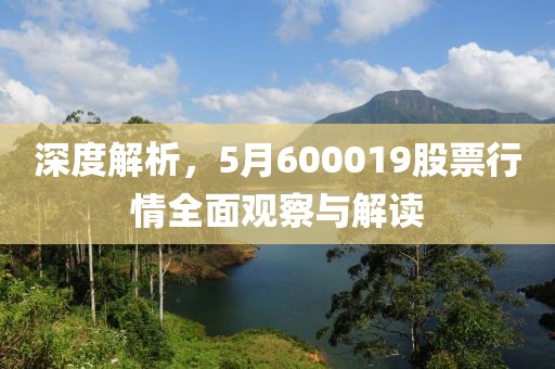 深度解析，5月600019股票行情全面观察与解读