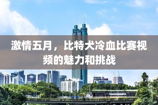 激情五月，比特犬冷血比赛视频的魅力和挑战