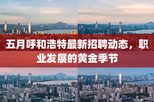 五月呼和浩特最新招聘动态，职业发展的黄金季节