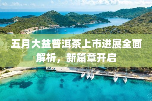 五月大益普洱茶上市进展全面解析，新篇章开启