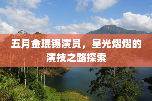 五月金珉锡演员，星光熠熠的演技之路探索