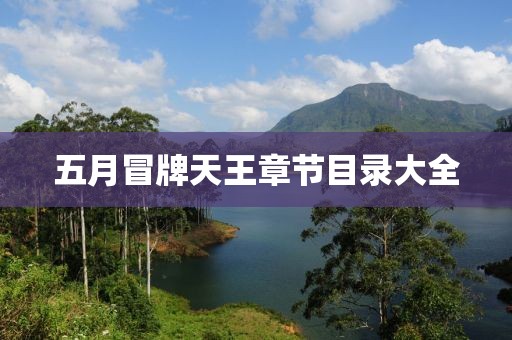 2025年5月8日 第4页