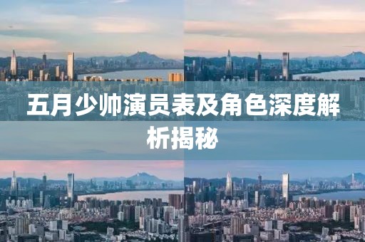 五月少帅演员表及角色深度解析揭秘