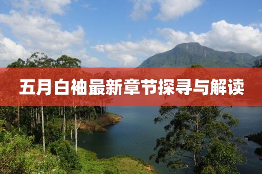 五月白袖最新章节探寻与解读