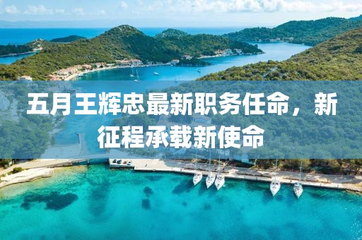 五月王辉忠最新职务任命，新征程承载新使命