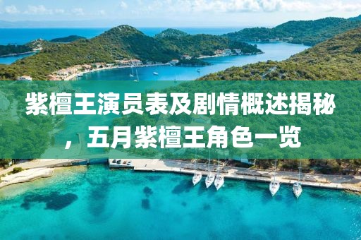 紫檀王演员表及剧情概述揭秘，五月紫檀王角色一览