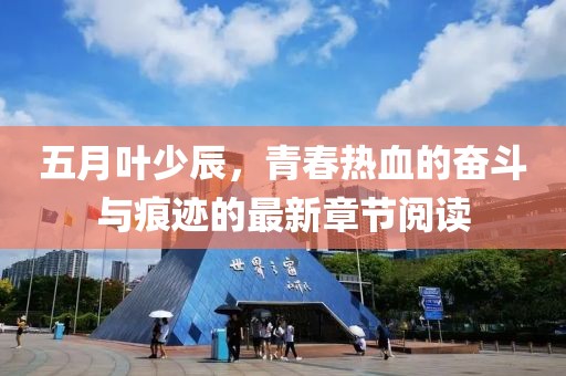 五月叶少辰，青春热血的奋斗与痕迹的最新章节阅读