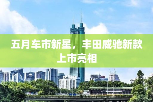 五月车市新星，丰田威驰新款上市亮相