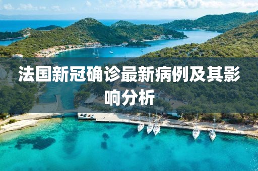 法国新冠确诊最新病例及其影响分析
