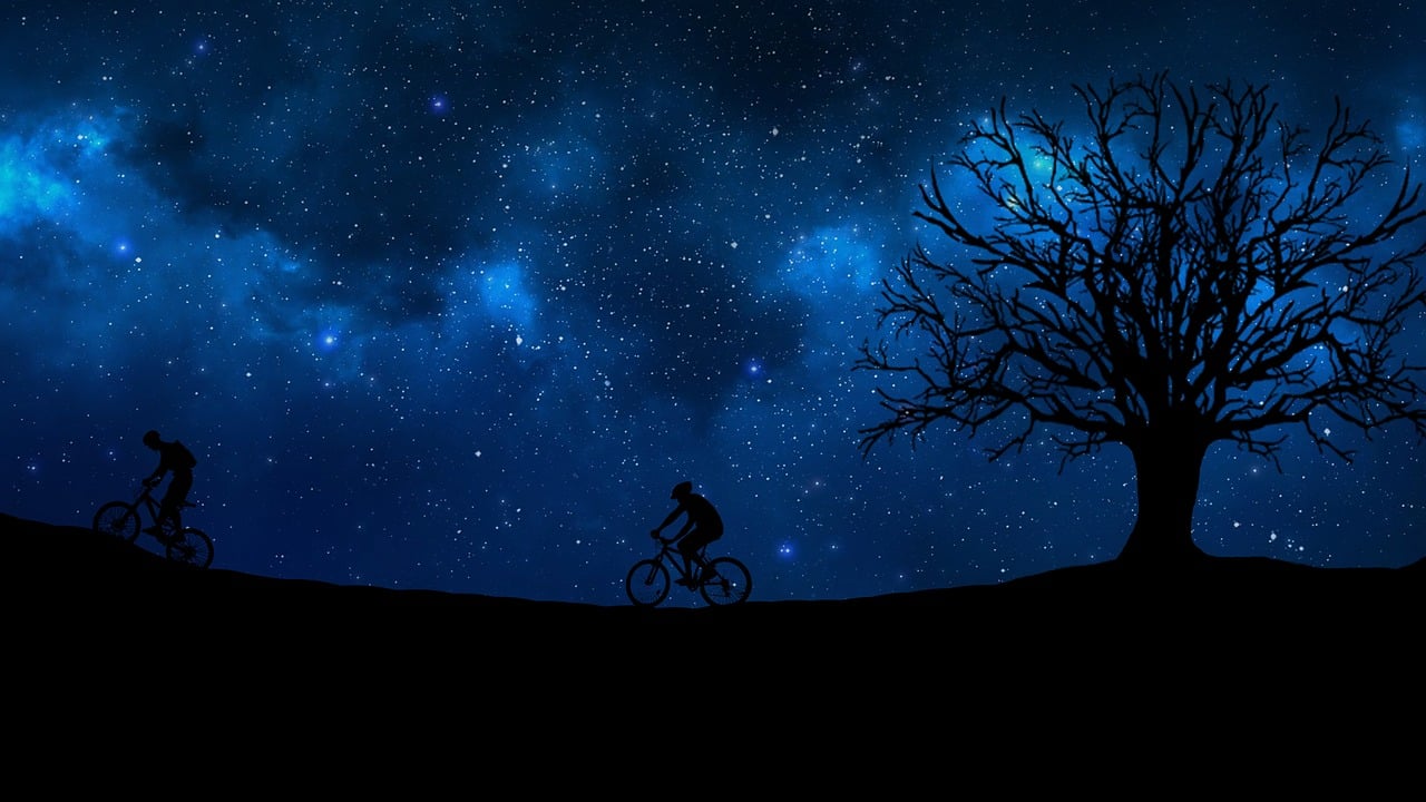 五月星光之王，白鹿的璀璨闪耀时刻