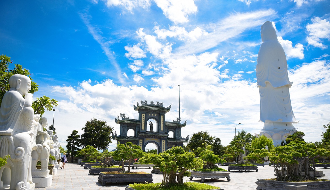五月兔皮最新价格动态分析与趋势预测