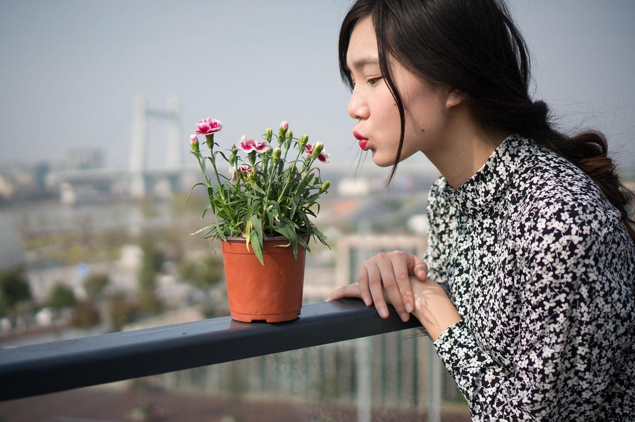 五月贵州女演员，闪耀之星的光芒与传奇故事